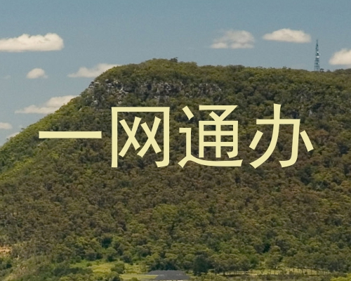 一网通办