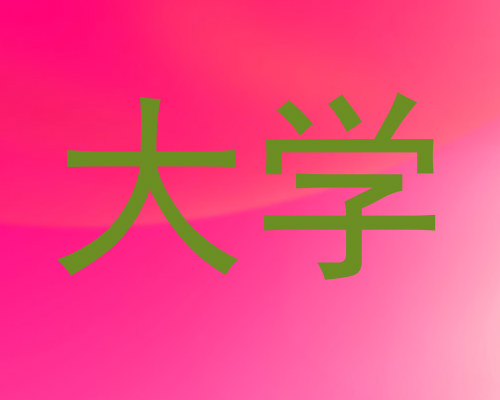 大学