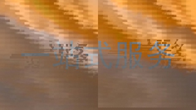 一站式服务