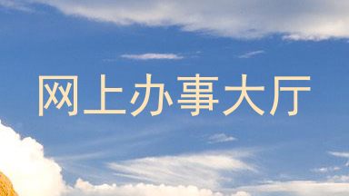 网上办事大厅