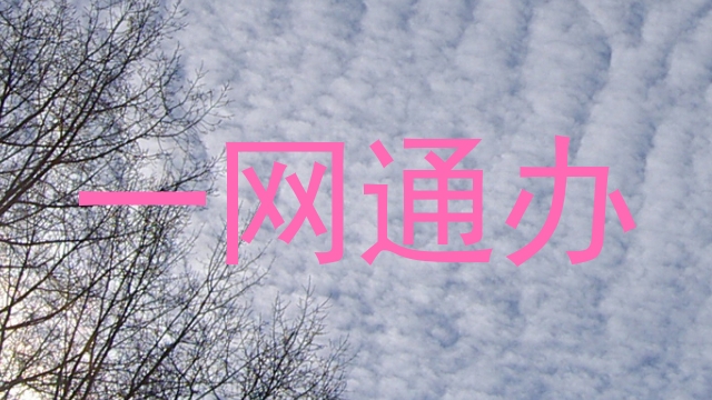 一网通办