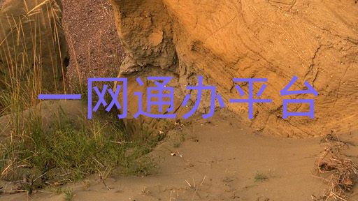 一网通办平台