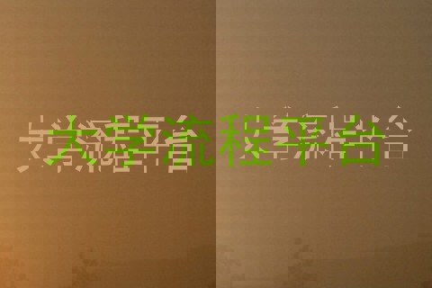 大学流程平台