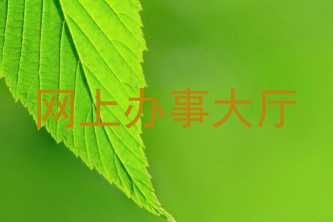 网上办事大厅