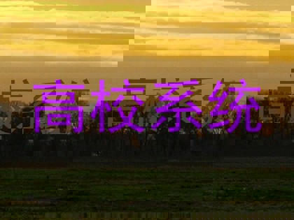 高校系统