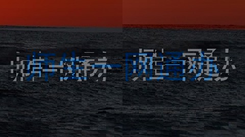 师生一网通办