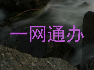 一网通办