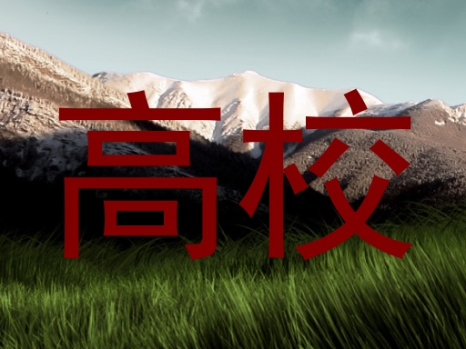 高校