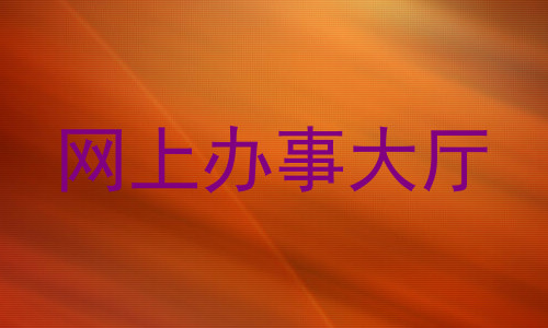 网上办事大厅
