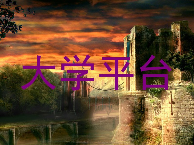 大学平台