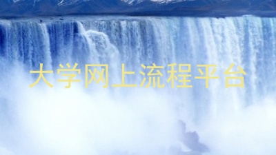 大学网上流程平台