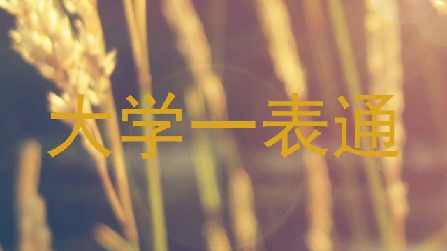 大学一表通