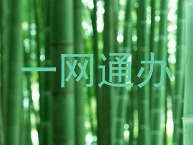 一网通办