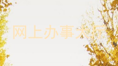 网上办事大厅