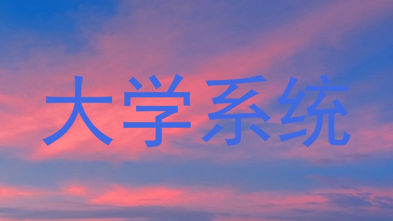 大学系统