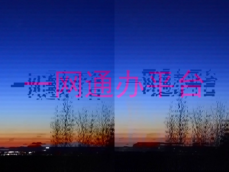 一网通办平台