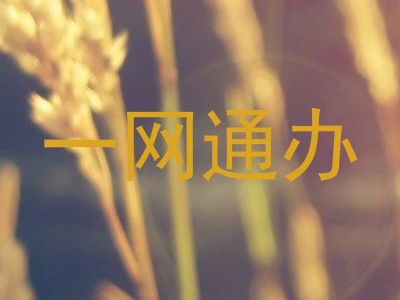 一网通办
