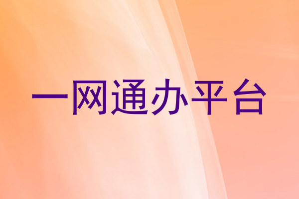 一网通办平台