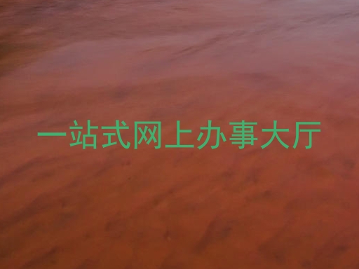 一站式网上办事大厅