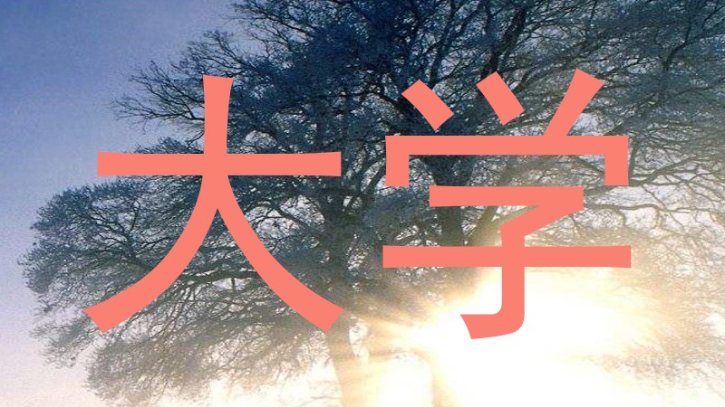大学