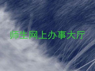 师生网上办事大厅