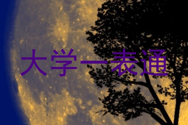 大学一表通