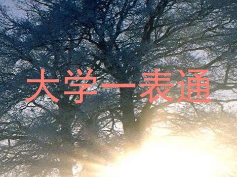 大学一表通