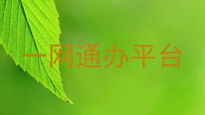 一网通办平台