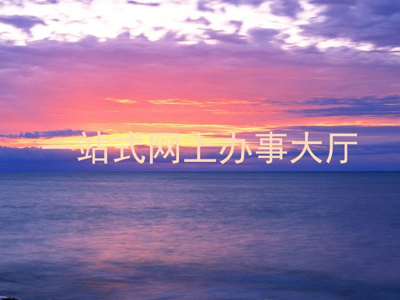 一站式网上办事大厅