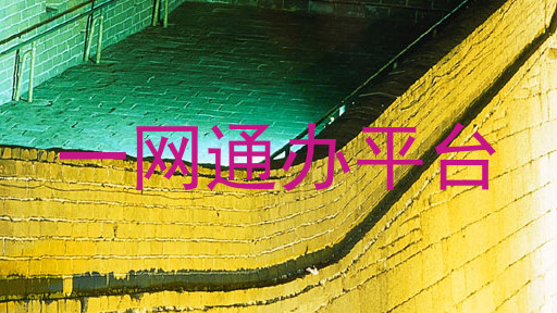 大学一表通