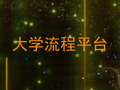 大学流程平台