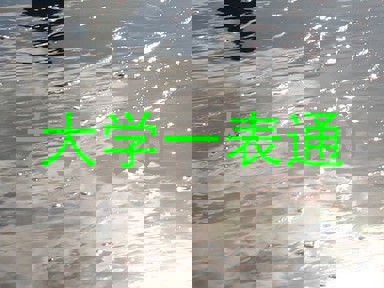 大学一表通