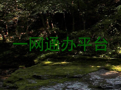 一网通办平台