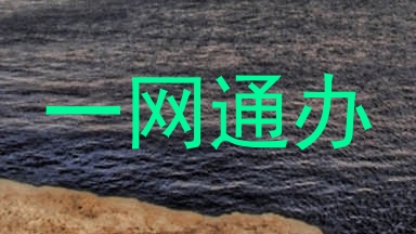一网通办