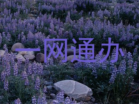 一网通办