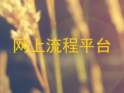网上流程平台
