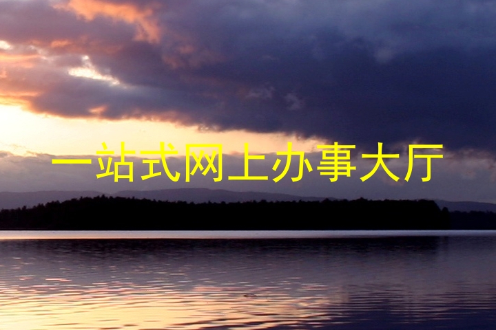 一站式网上办事大厅