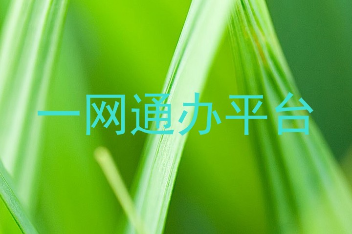 一网通办平台