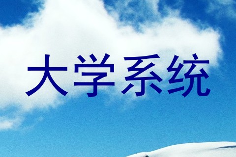 大学系统