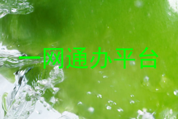 一网通办平台