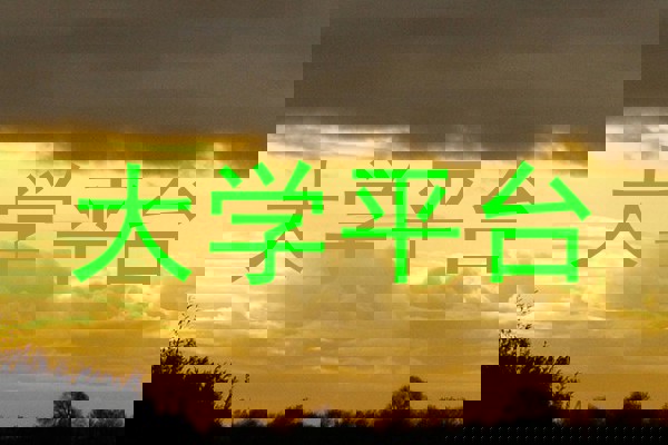 大学平台