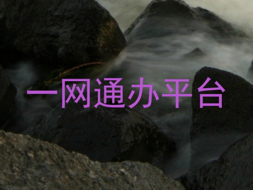 一网通办平台