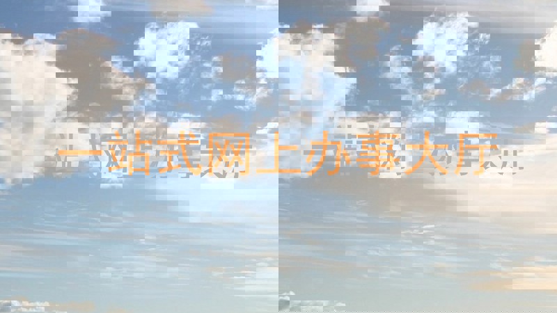 一站式网上办事大厅