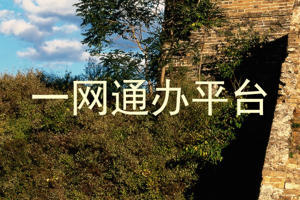 一网通办平台