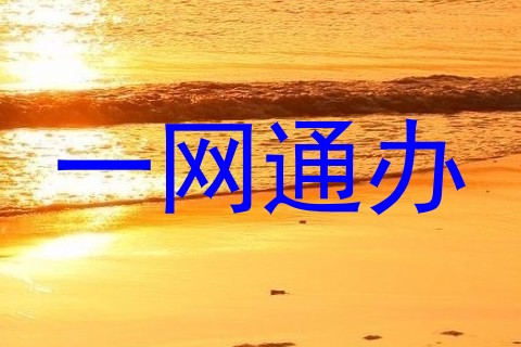 一网通办