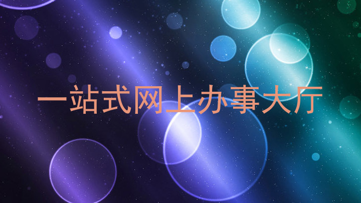 一站式网上办事大厅