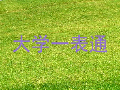 大学一表通