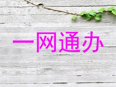 一网通办