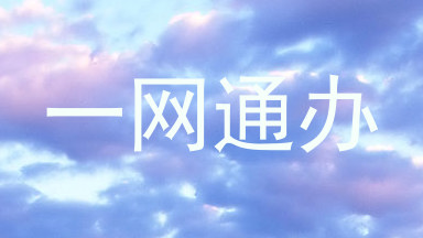 一网通办