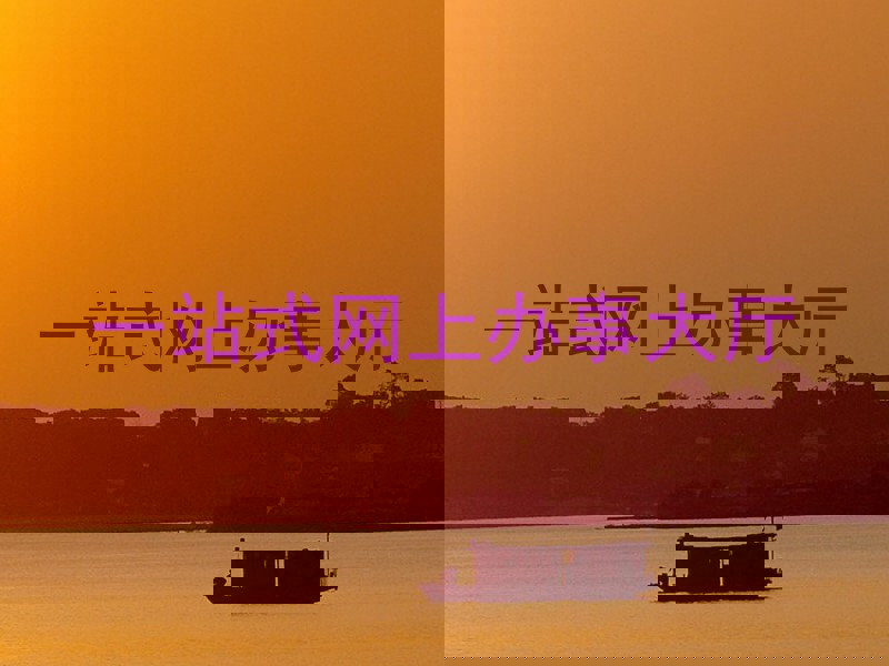 一站式网上办事大厅